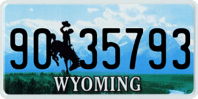 WY license plate 9035793