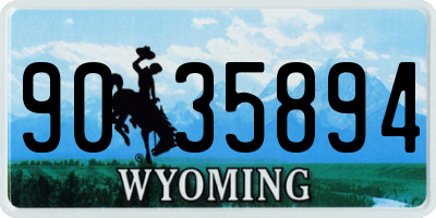 WY license plate 9035894