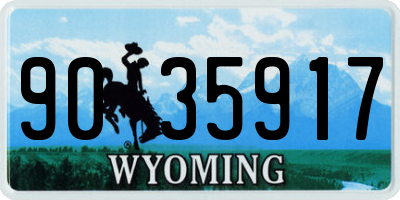 WY license plate 9035917