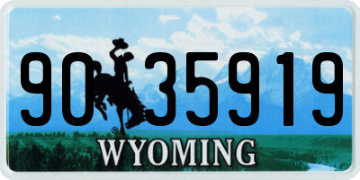 WY license plate 9035919