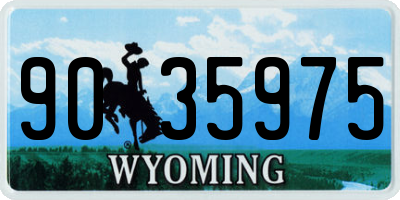 WY license plate 9035975