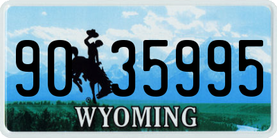 WY license plate 9035995