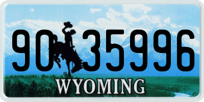 WY license plate 9035996
