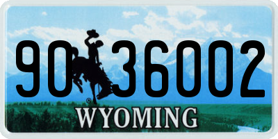 WY license plate 9036002