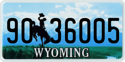 WY license plate 9036005
