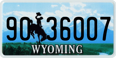 WY license plate 9036007
