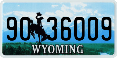 WY license plate 9036009