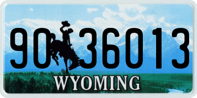 WY license plate 9036013
