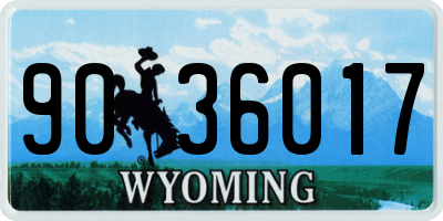 WY license plate 9036017