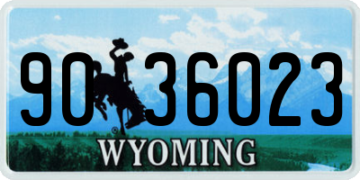 WY license plate 9036023