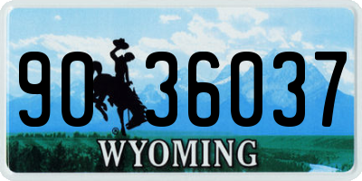 WY license plate 9036037