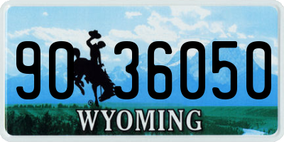 WY license plate 9036050