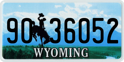 WY license plate 9036052