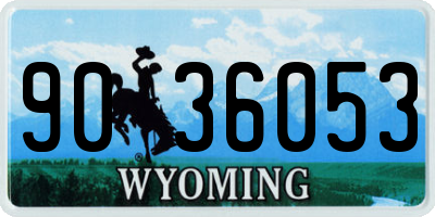 WY license plate 9036053