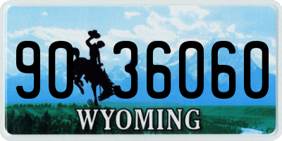 WY license plate 9036060