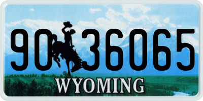 WY license plate 9036065