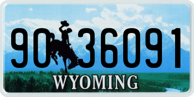 WY license plate 9036091