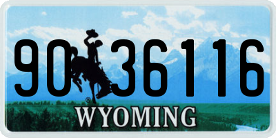 WY license plate 9036116