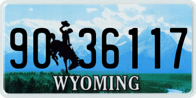 WY license plate 9036117