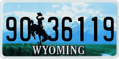 WY license plate 9036119