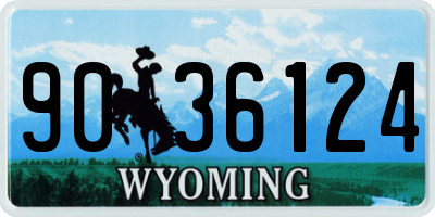WY license plate 9036124