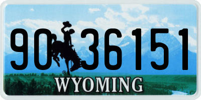 WY license plate 9036151