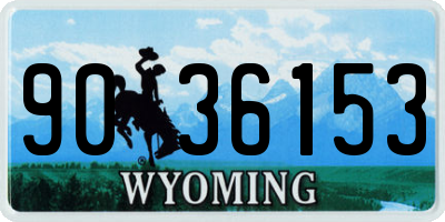 WY license plate 9036153