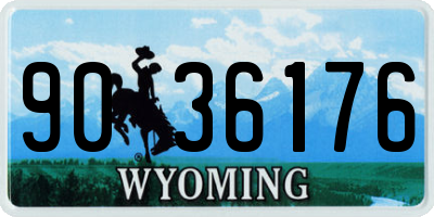 WY license plate 9036176