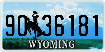 WY license plate 9036181
