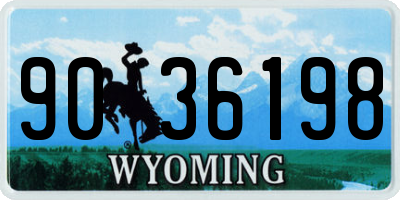 WY license plate 9036198