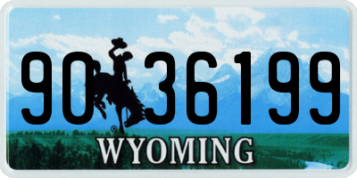 WY license plate 9036199