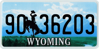 WY license plate 9036203