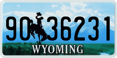 WY license plate 9036231