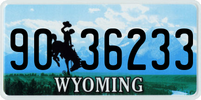 WY license plate 9036233