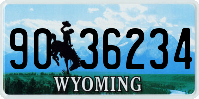 WY license plate 9036234