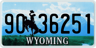 WY license plate 9036251