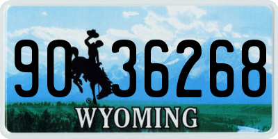 WY license plate 9036268