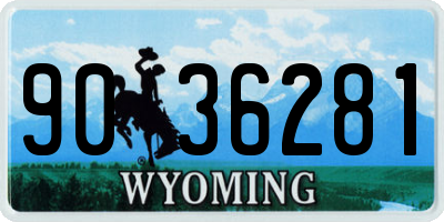 WY license plate 9036281