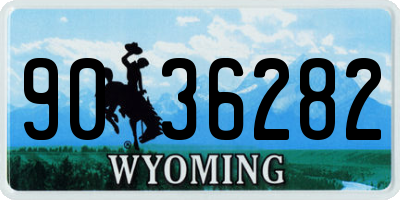 WY license plate 9036282