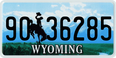 WY license plate 9036285