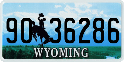WY license plate 9036286