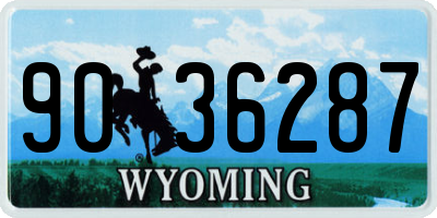 WY license plate 9036287