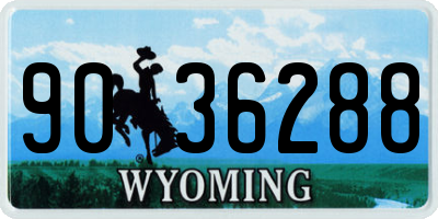 WY license plate 9036288