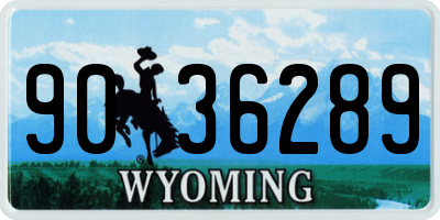 WY license plate 9036289