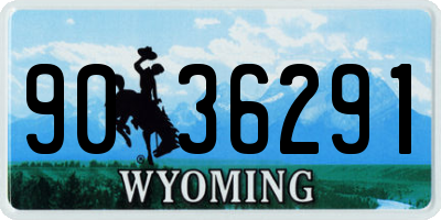 WY license plate 9036291
