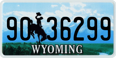 WY license plate 9036299