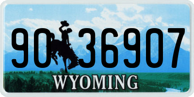 WY license plate 9036907