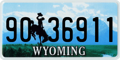 WY license plate 9036911