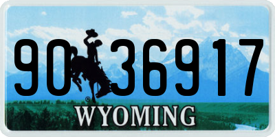 WY license plate 9036917