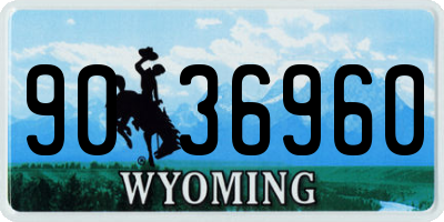 WY license plate 9036960